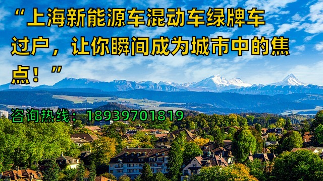 “上海新能源车混动车绿牌车过户，让你瞬间成为城市中的焦点！”