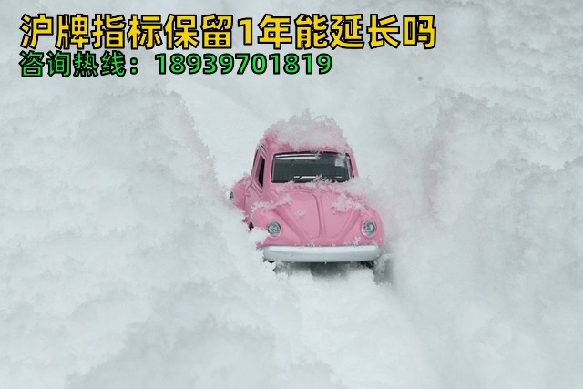 沪牌指标保留1年能延长吗（沪牌车辆卖掉后怎么保留沪牌）