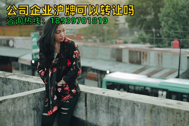 公司企业沪牌可以转让吗（沪牌转让一天完成的方法与流程）