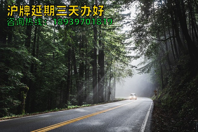 沪牌延期三天办好（2024年6月上海车牌额度沪牌延期注意事项）