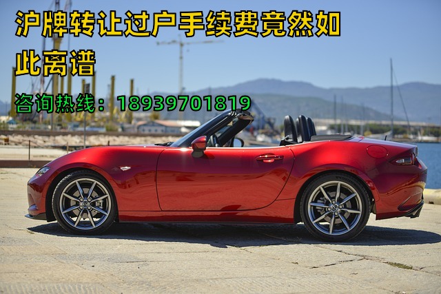 2024年沪牌转让过户手续费竟然如此离谱