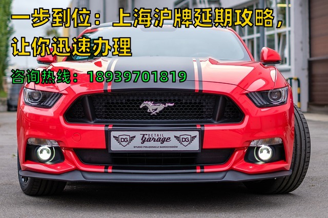 一步到位：上海沪牌延期攻略，让你迅速办理