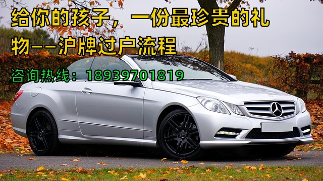 给你的孩子，一份最珍贵的礼物——沪牌过户流程