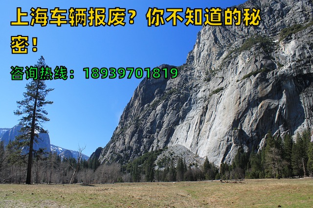 上海车辆报废？你不知道的秘密！
