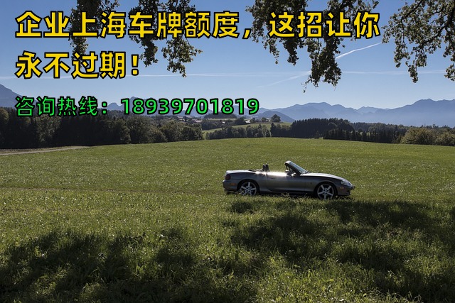 企业上海车牌额度，这招让你永不过期！
