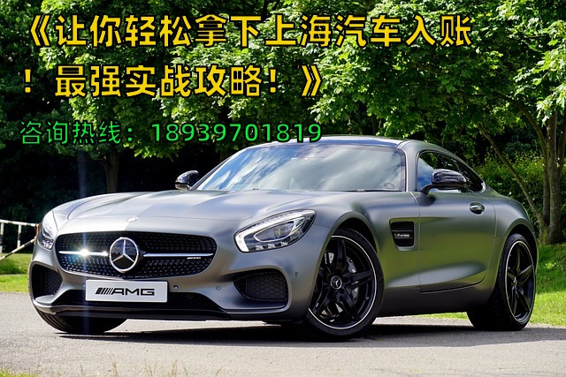 《让你轻松拿下上海汽车入账！最强实战攻略！》