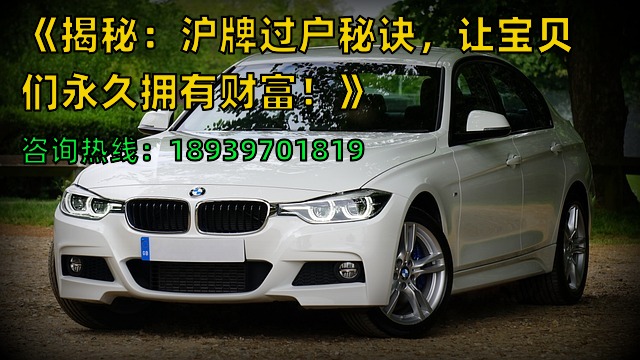 《揭秘：沪牌过户秘诀，让宝贝们永久拥有财富！》
