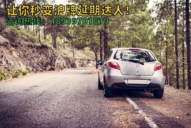 让你秒变沪牌延期达人！
