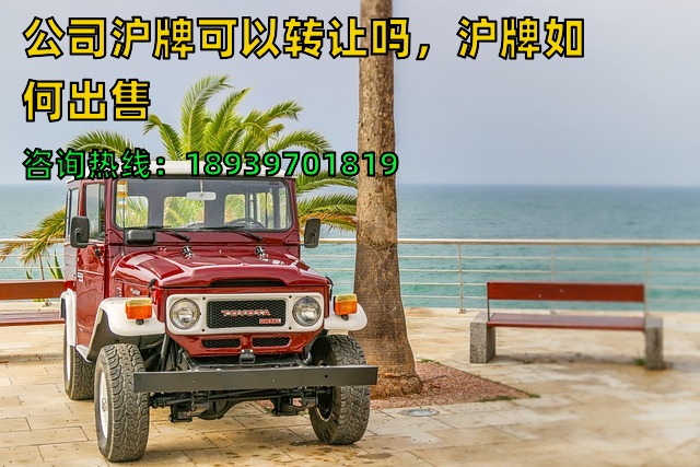 公司沪牌可以转让吗，沪牌如何出售